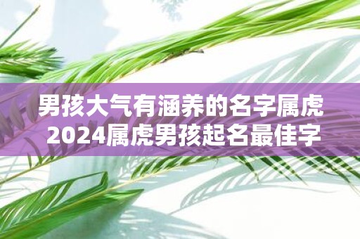 男孩大气有涵养的名字属虎 2025属虎男孩起名最佳字