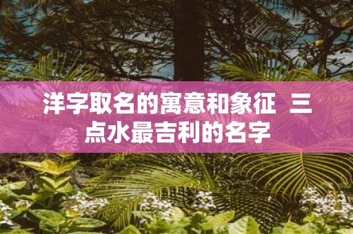 洋字取名的寓意和象征 三点水最吉利的名字