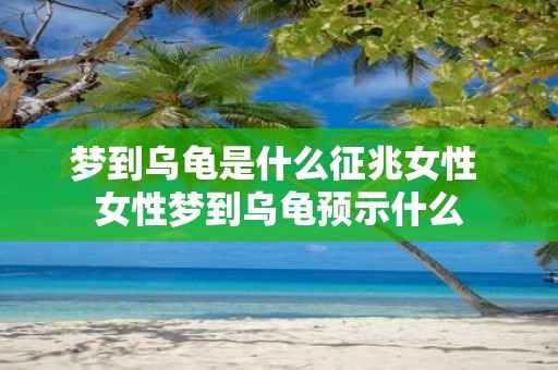 梦到乌龟是什么征兆女性 女性梦到乌龟预示什么