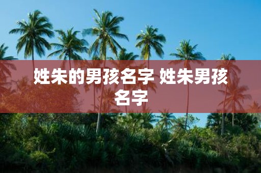 姓朱的男孩名字 姓朱男孩名字