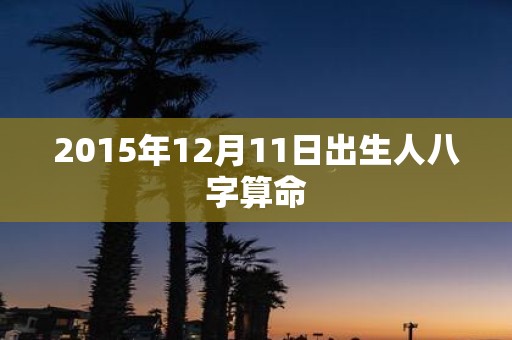 2015年12月11日出生人八字算命