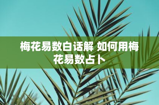 梅花易数白话解 如何用梅花易数占卜