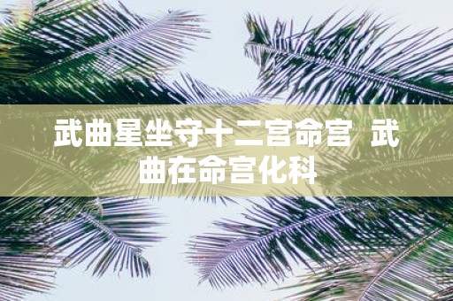 武曲星坐守十二宫命宫 武曲在命宫化科