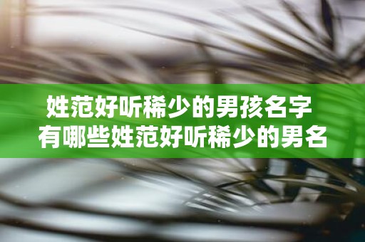 姓范好听稀少的男孩名字 有哪些姓范好听稀少的男名