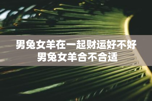 男兔女羊在一起财运好不好 男兔女羊合不合适