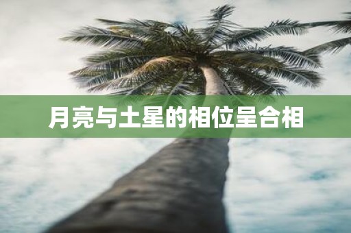 月亮与土星的相位呈合相