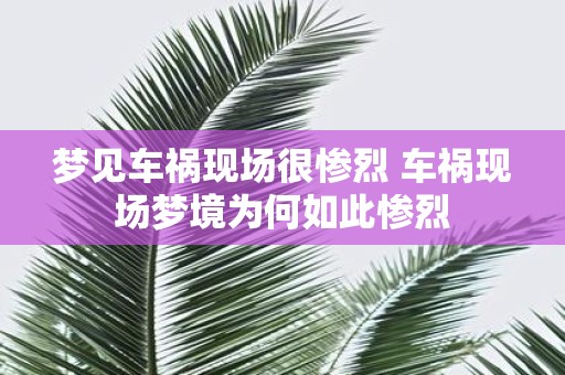 梦见车祸现场很惨烈 车祸现场梦境为何如此惨烈