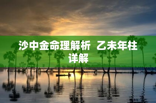 沙中金命理解析 乙未年柱详解