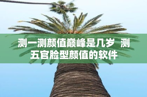 测一测颜值巅峰是几岁 测五官脸型颜值的软件