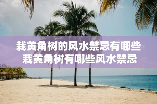 栽黄角树的风水禁忌有哪些 栽黄角树有哪些风水禁忌