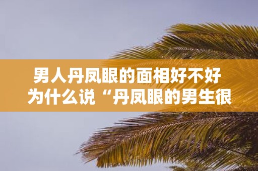 男人丹凤眼的面相好不好 为什么说“丹凤眼的男生很可怕”