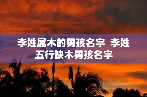 李姓属木的男孩名字 李姓五行缺木男孩名字