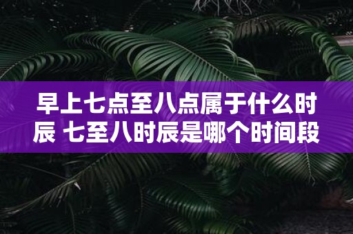 早上七点至八点属于什么时辰 七至八时辰是哪个时间段