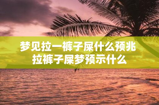 梦见拉一裤子屎什么预兆 拉裤子屎梦预示什么