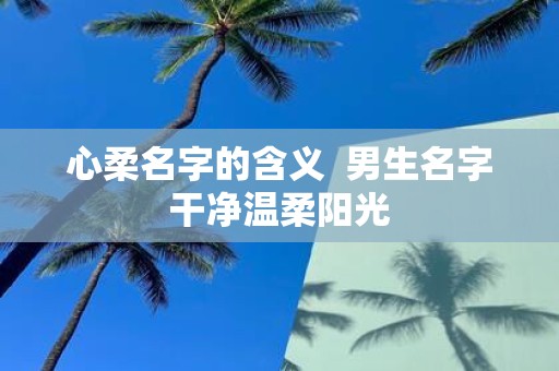 心柔名字的含义 男生名字干净温柔阳光