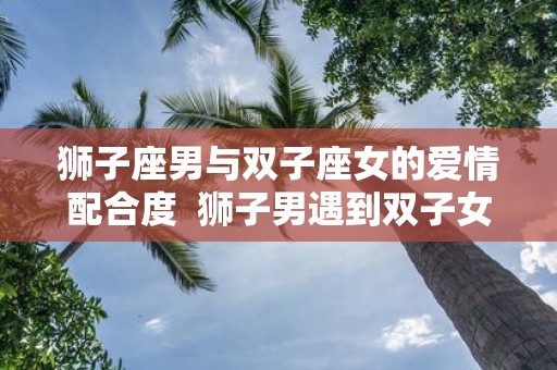 狮子座男与双子座女的爱情配合度 狮子男遇到双子女就是死