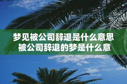 梦见被公司辞退是什么意思 被公司辞退的梦是什么意思