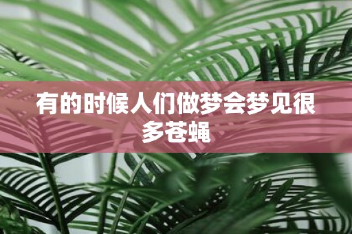 有的时候人们做梦会梦见很多苍蝇