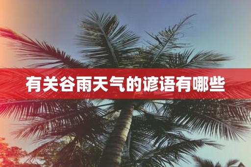 有关谷雨天气的谚语有哪些