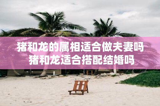 猪和龙的属相适合做夫妻吗 猪和龙适合搭配结婚吗