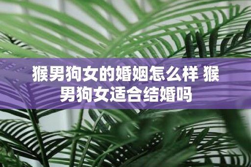 猴男狗女的婚姻怎么样 猴男狗女适合结婚吗