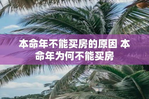 本命年不能买房的原因 本命年为何不能买房
