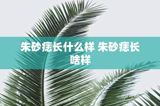朱砂痣长什么样 朱砂痣长啥样