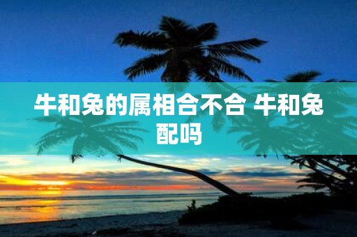 牛和兔的属相合不合 牛和兔配吗
