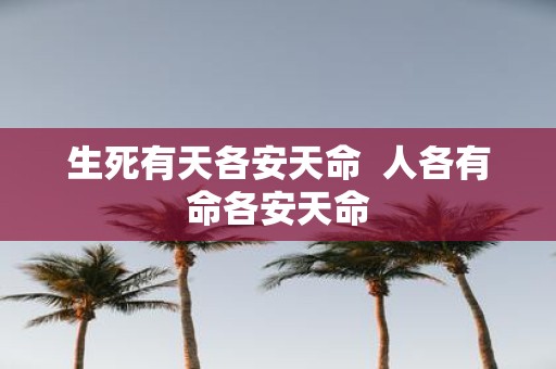 生死有天各安天命 人各有命各安天命