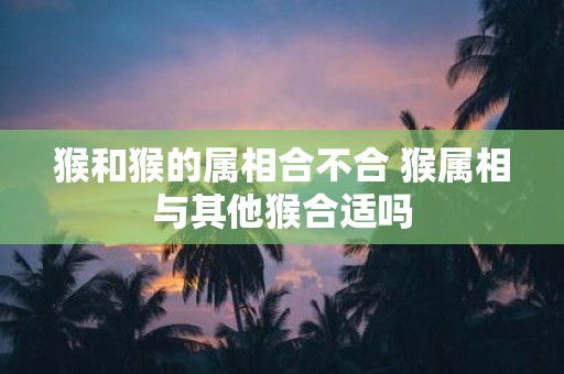猴和猴的属相合不合 猴属相与其他猴合适吗