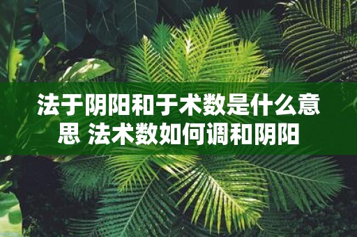 法于阴阳和于术数是什么意思 法术数如何调和阴阳