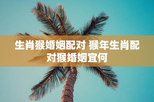 生肖猴婚姻配对 猴年生肖配对猴婚姻宜何