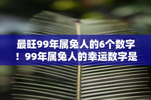 最旺99年属兔人的6个数字！99年属兔人的幸运数字是几