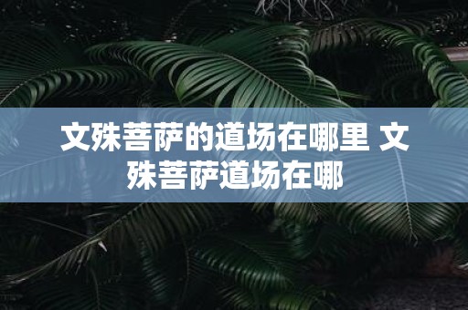 文殊菩萨的道场在哪里 文殊菩萨道场在哪