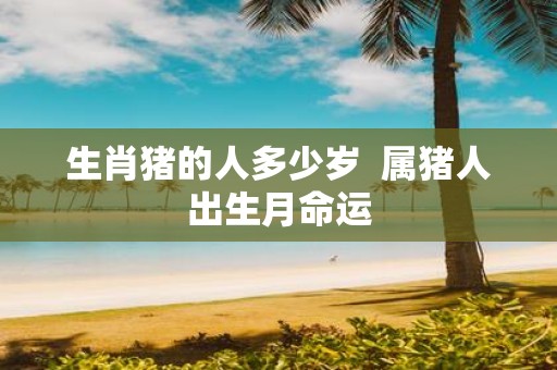 生肖猪的人多少岁 属猪人出生月命运