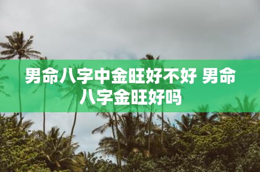 男命八字中金旺好不好 男命八字金旺好吗