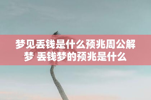 梦见丢钱是什么预兆周公解梦 丢钱梦的预兆是什么