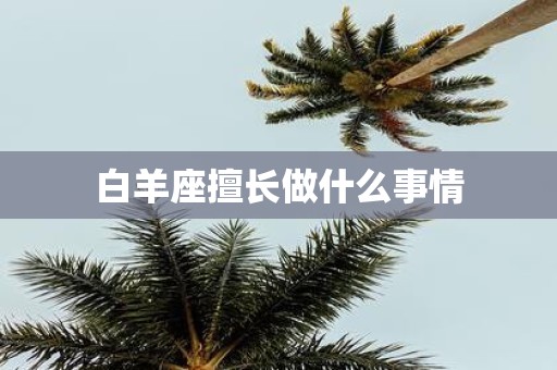 白羊座擅长做什么事情