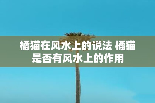 橘猫在风水上的说法 橘猫是否有风水上的作用