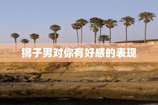 狮子男对你有好感的表现