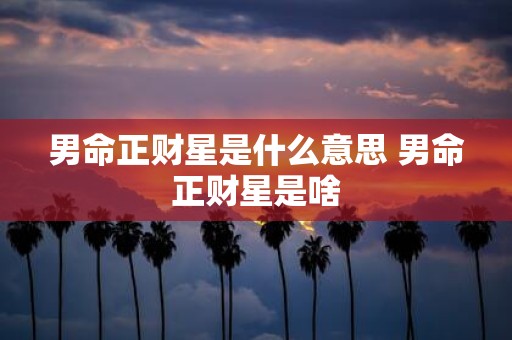 男命正财星是什么意思 男命正财星是啥