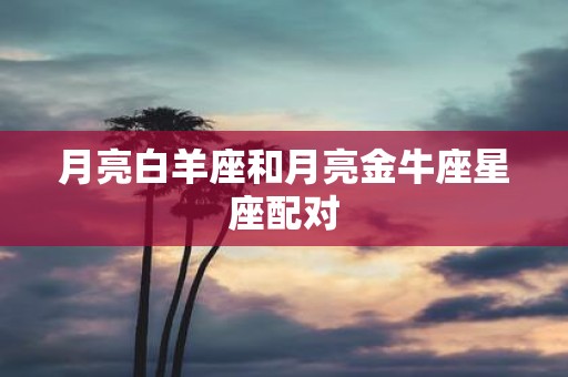 月亮白羊座和月亮金牛座星座配对