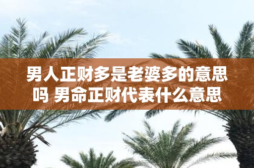 男人正财多是老婆多的意思吗 男命正财代表什么意思