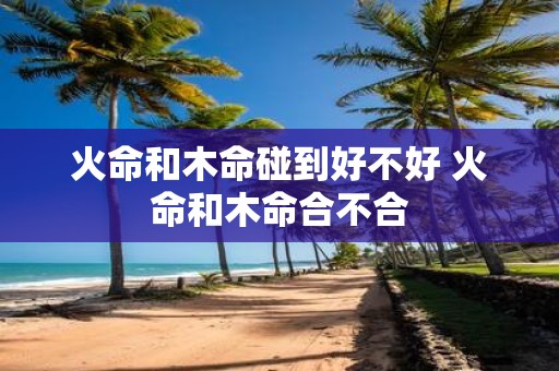 火命和木命碰到好不好 火命和木命合不合