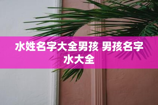 水姓名字大全男孩 男孩名字水大全