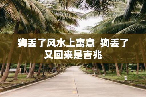 狗丢了风水上寓意 狗丢了又回来是吉兆