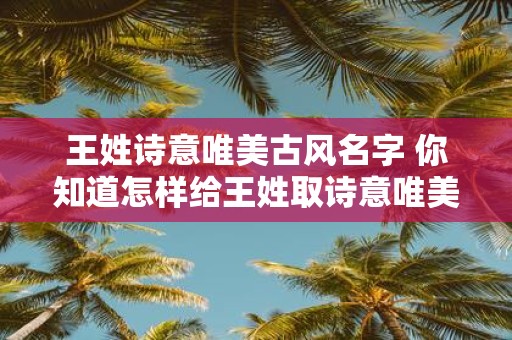 王姓诗意唯美古风名字 你知道怎样给王姓取诗意唯美的古风名字吗
