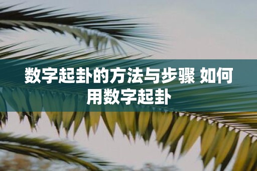 数字起卦的方法与步骤 如何用数字起卦