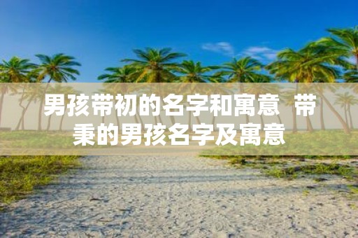男孩带初的名字和寓意 带秉的男孩名字及寓意