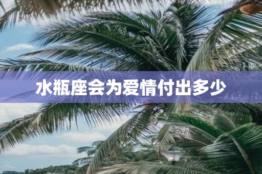 水瓶座会为爱情付出多少